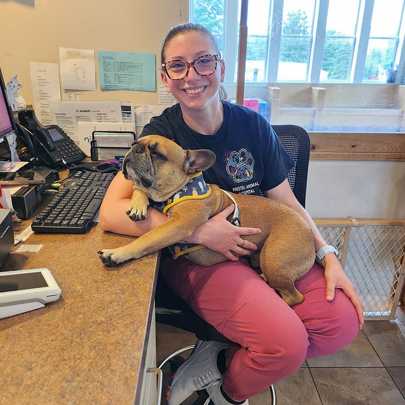 a-vet-sitting-on-a-chair-with-a-dog