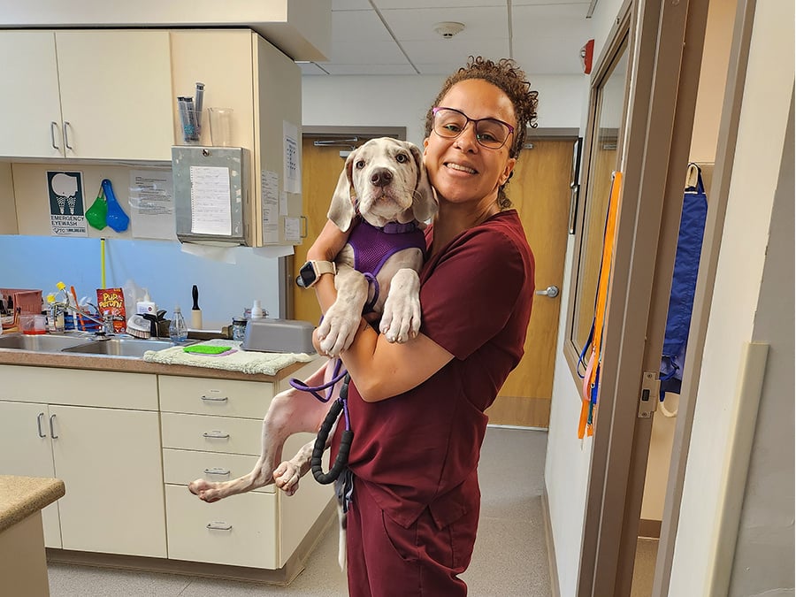 a-vet-smiling-while-holding-a-small-brown-dog-in-her-arms-1