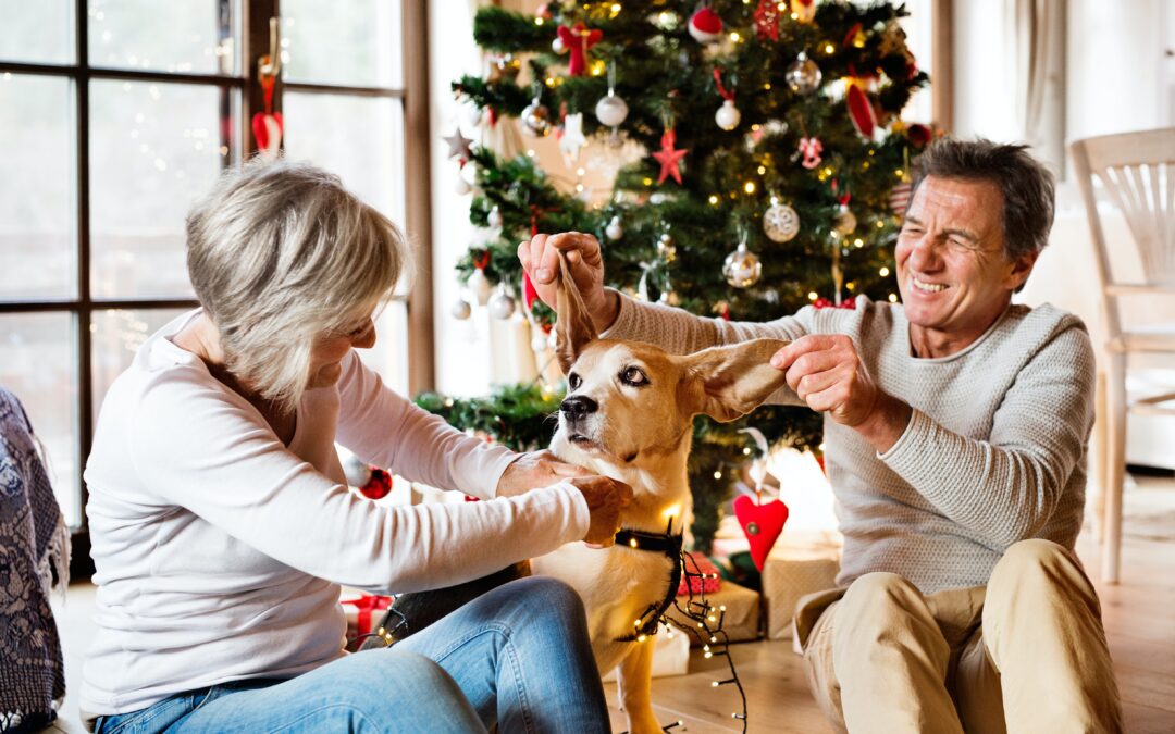 Celebrating the Festive Season with Senior Pets: Tips for a Joyful Holiday