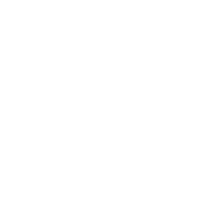 pet surgery icon