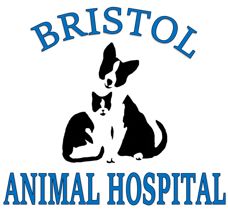 Bristol Animal Hospital Logo