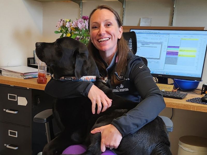 Veterinary Staff Holding Dog at desk