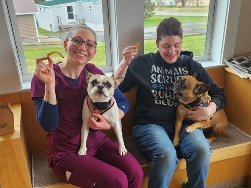 Veterinary Staff holding dogs and fries