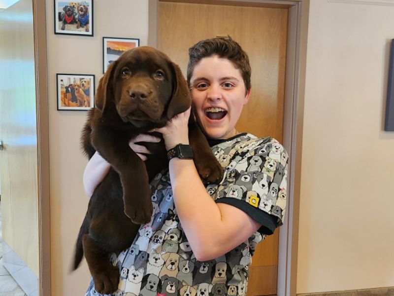 Veterinary Staff holding large puppy