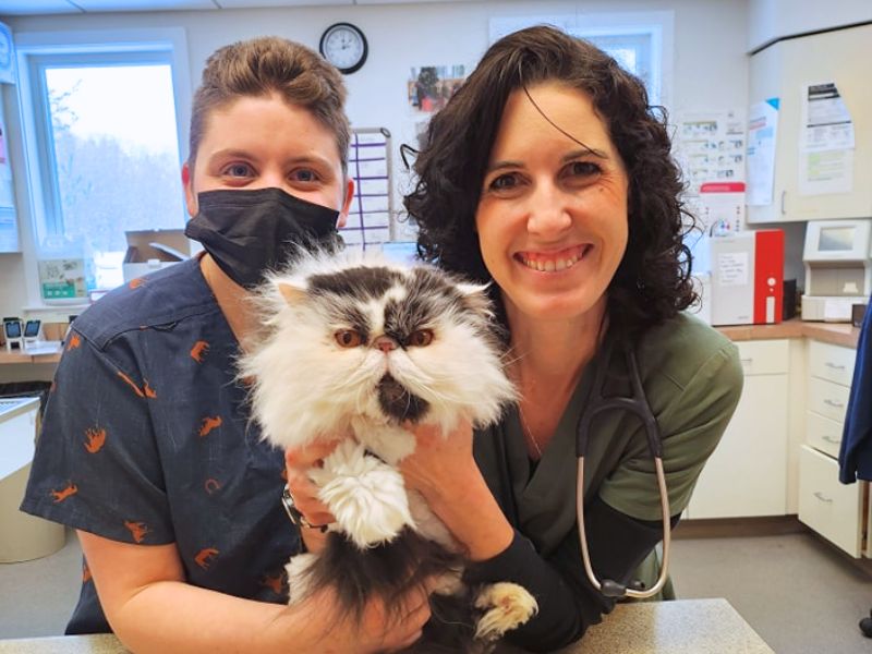 Vets smiling with Cat