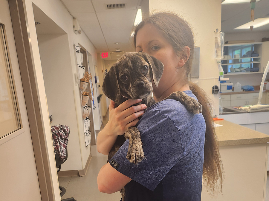 Woman holding a dog in hospital hallway