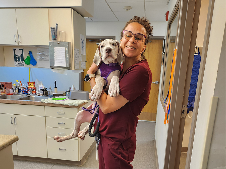 a vet smiling while holding a small brown dog in her arms